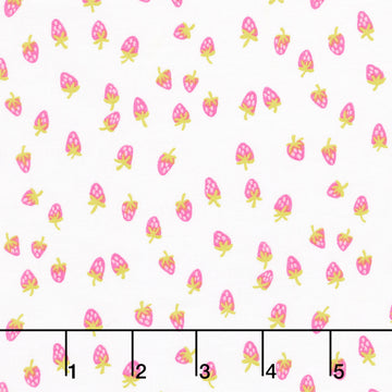 Color Pop Playground - Berry Sweet White Yardage