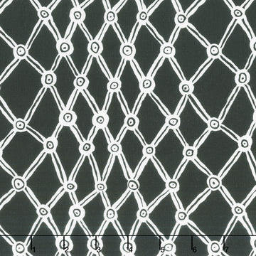 Kaffe Fassett Collective - February 2026 Nets Black-White Yardage
