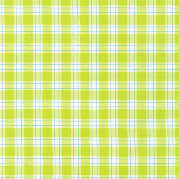 Kitchen Window Wovens - Cactus Yardage
