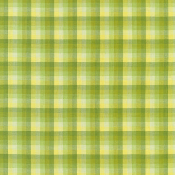 Kitchen Window Wovens - Plaid Zucchini Yardage