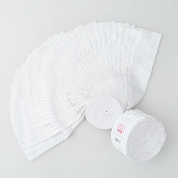 Fairy Frost Snow Metallic 2 1/2" Strips Primary Image