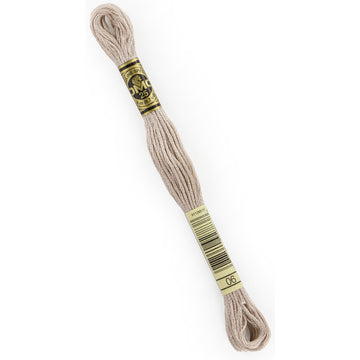 DMC Embroidery Floss - 06 Medium Light Driftwood Primary Image