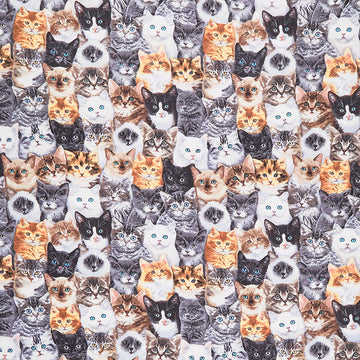 Cats - Packed Mixed Breeds of Cats Multi Yardage Primary Image