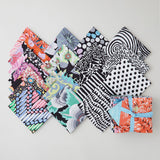 Kaffe Classics Polaris Colorstory Fat Quarter Bundle