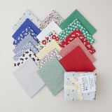 Aunt Grace Goes Bold Fat Quarter Bundle