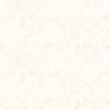 Canvas Basic - Antique White Yardage