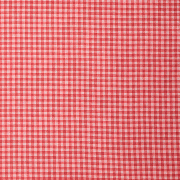 Petal Parade - Red Gingham 2 Yard Cut