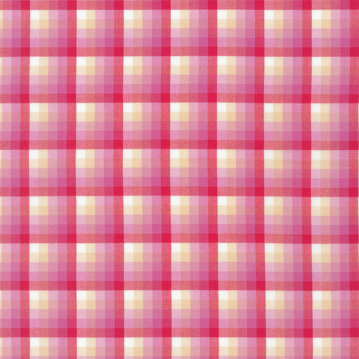 Kitchen Window Wovens - Watermelon Yardage