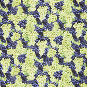 Novelty - Packed Grapes Grapes Yardage
