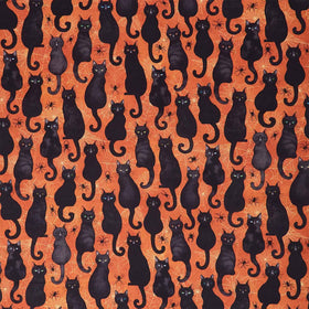 Scaredy Cats - Black Cats & Spiders Orange Digitally Printed Yardage