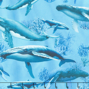 Underwater Paradise - Humpback Whale Ocean Digitally Printed Yardage