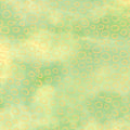 Chromaticity - Circles Pear Yardage Primary Image
