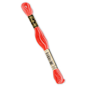 DMC Embroidery Floss - 106 Variegated Coral Primary Image