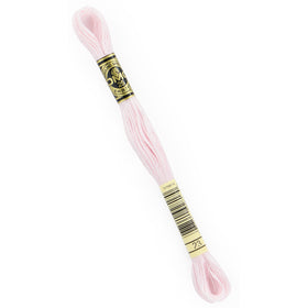 DMC Embroidery Floss - 23 Apple Blossom Primary Image