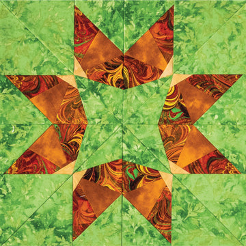 60 Fabulous Paper-Pieced Stars, 2nd Edition Book Alternative View #4