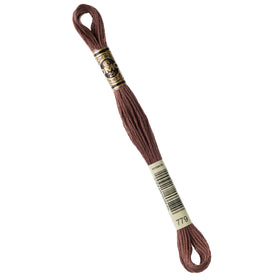 DMC Embroidery Floss - 779 Dark Cocoa Primary Image