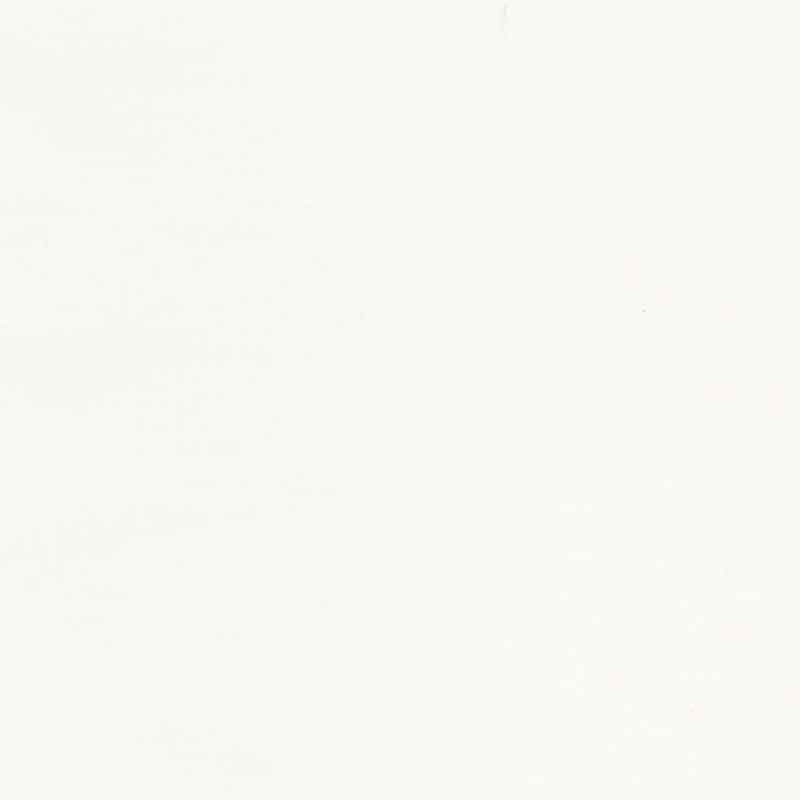 American Made Brand Cotton Solids - Light Cream Yardage Primary Image