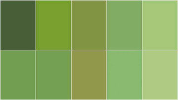 Handpicked Produce - Sweet Solids Green Salad 10" Stackers 20 pcs. Alternative View #2