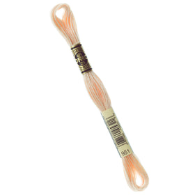 DMC Embroidery Floss - 951 Light Tawny Primary Image