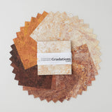 Stonehenge Gradations II - Canyon Chips (5" squares) Primary Image