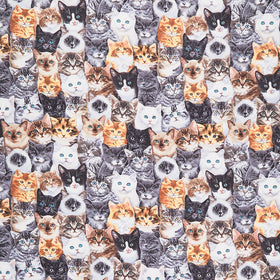 Cats - Packed Mixed Breeds of Cats Multi Yardage Primary Image