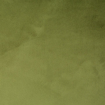 Cuddle® Extra Wide - Cactus 90" Minky Yardage