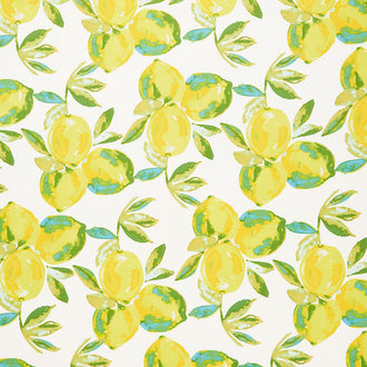 Art Gallery Canvas - Sage Yuma Lemons Mist Yellow Yardage